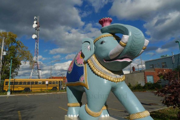 Autobus elephantiasis