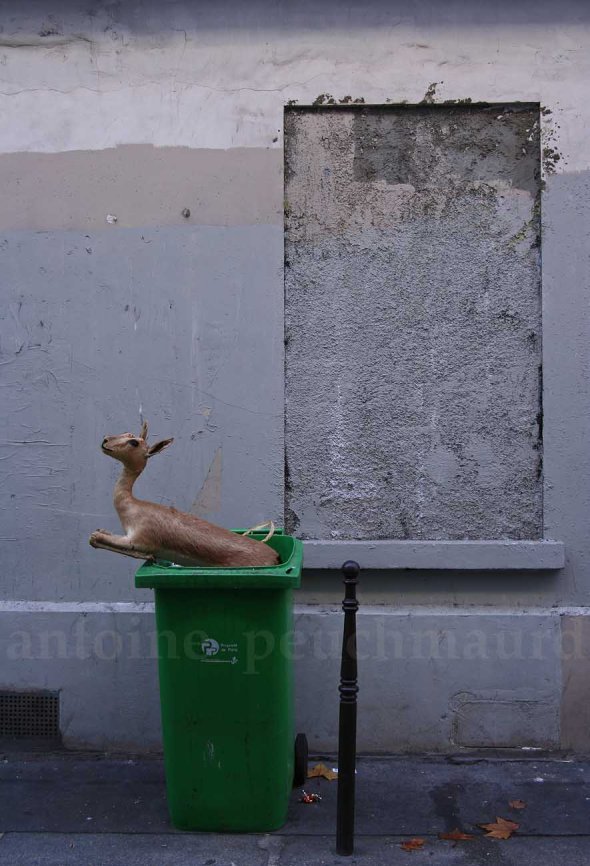 Biche recyclée (Paris)